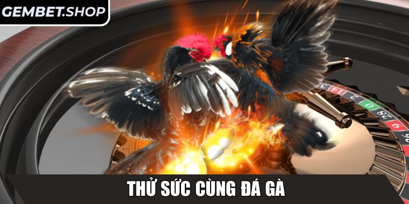 GEMBET | GEM BET | Link Vào Nhà Cái GEM.BET Chính Thức Mới 10/2025 28 Thử sức cùng Đá Gà
